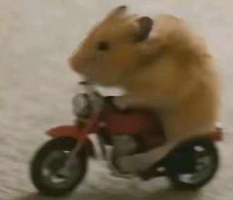 𝙀𝙨𝙝𝙖ᡣ𐭩 tweet media