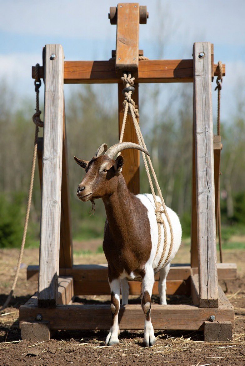 Tea Time tweet media