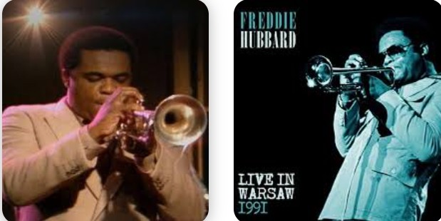 柴犬セブン tweet media