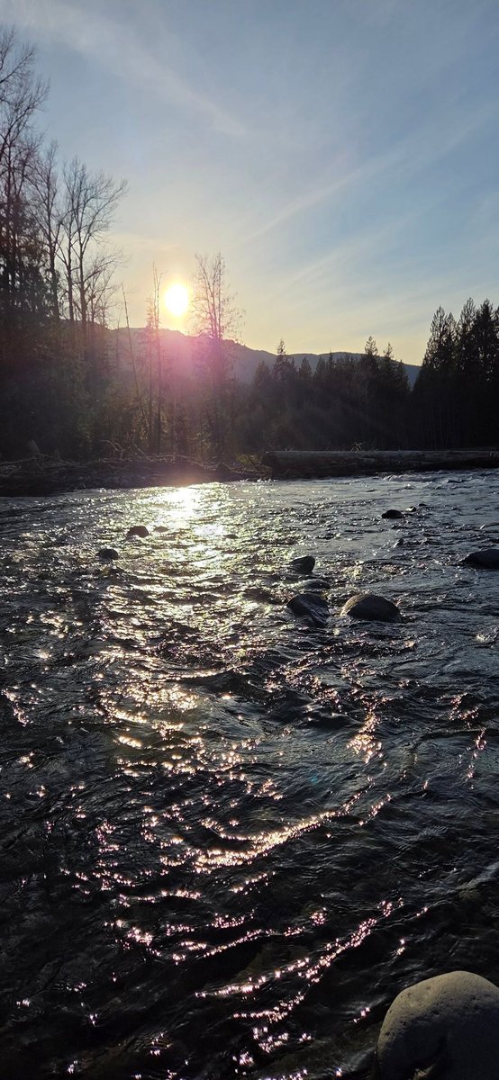 AthenaBee tweet media