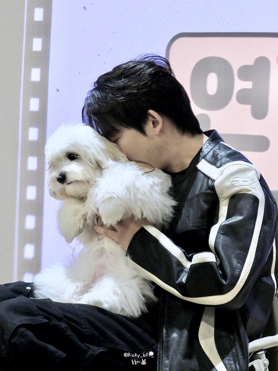 총총이🐰 tweet media