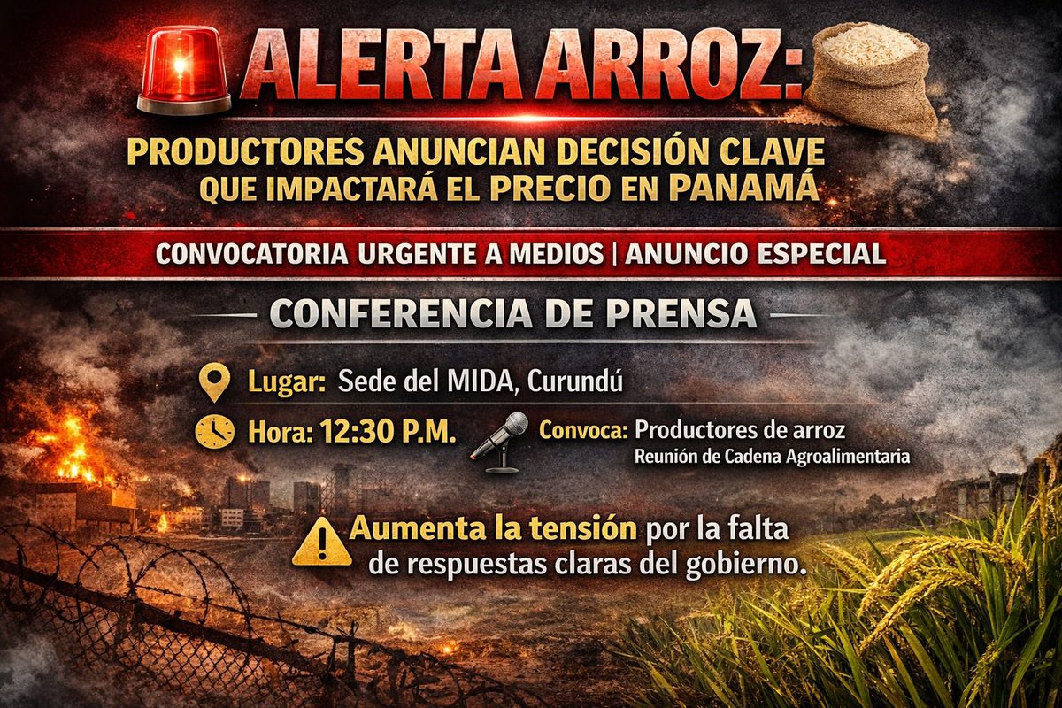 Linda Bran tweet media