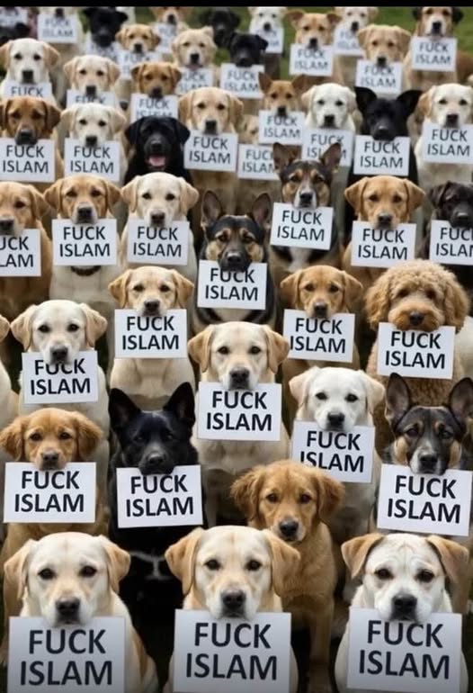 Kevin & Karen tweet media