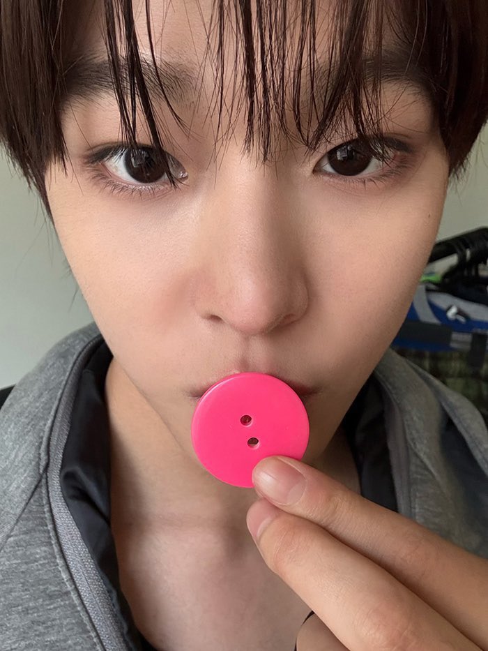 N년 전 오늘의 리쿠 tweet media