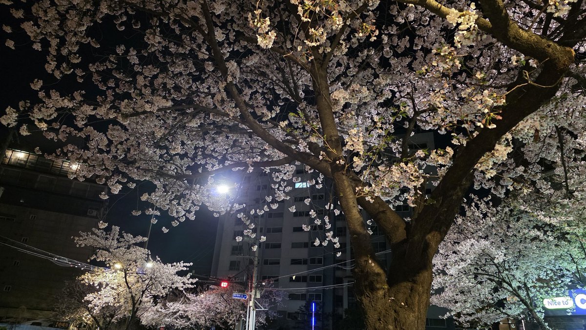 ハンサムHanSaem☆ tweet media