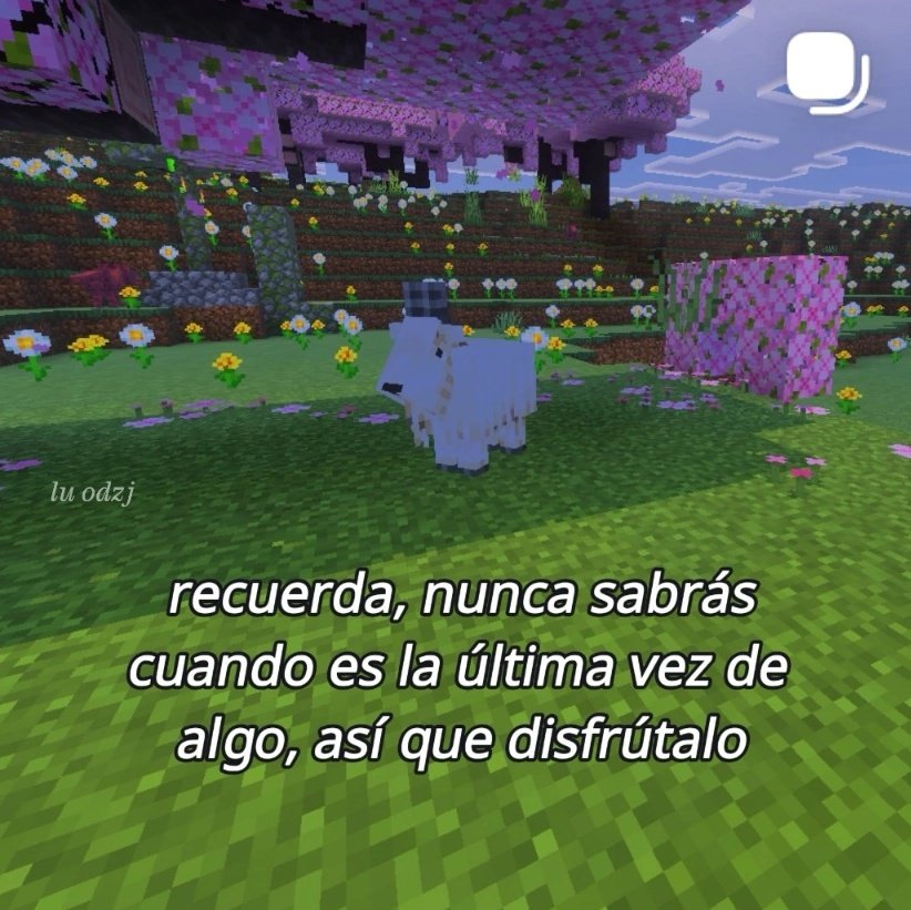 ๐ถ๐๐๐ tweet media