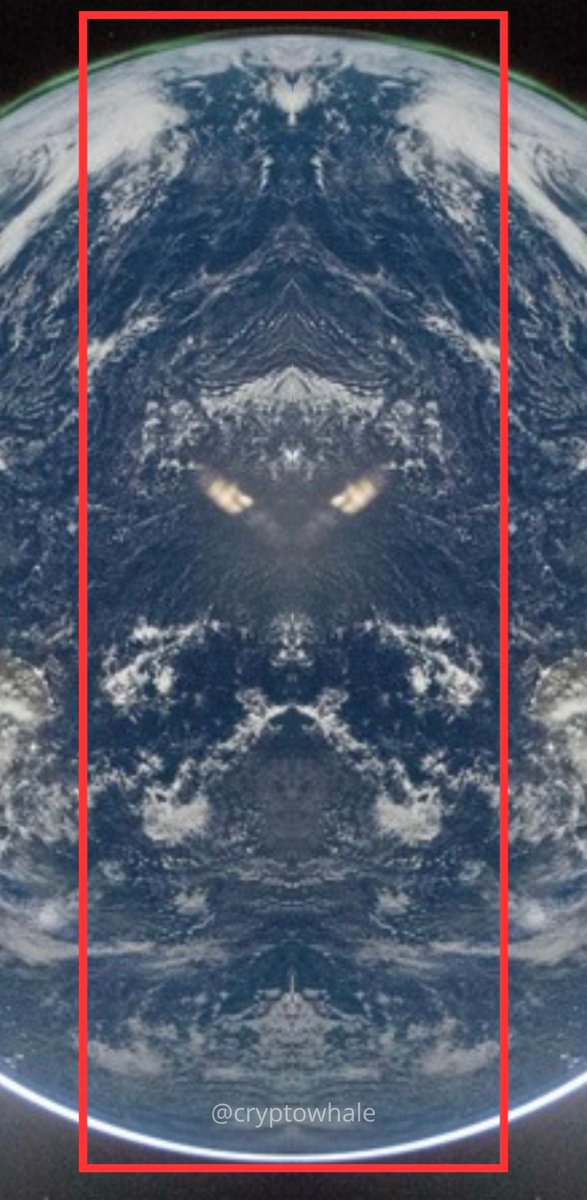 Mr. Whale tweet media