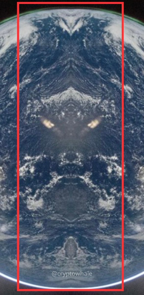 Mr. Whale tweet media