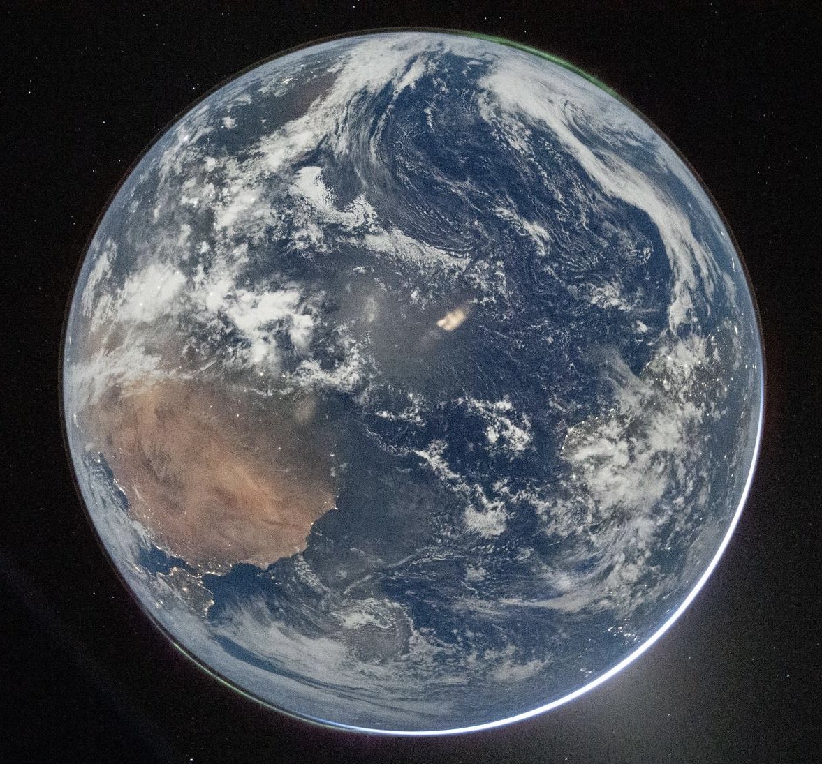 Mr. Whale tweet media