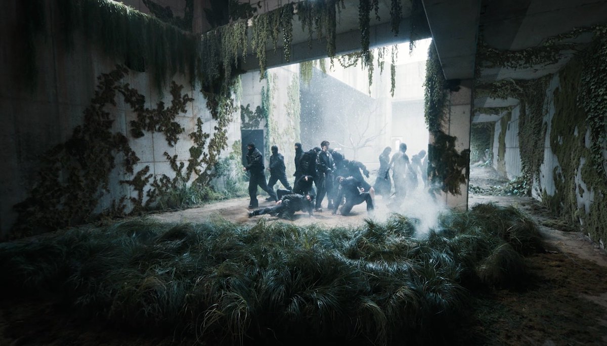 Bangtan Greenhouse⁷ 🌷 tweet media