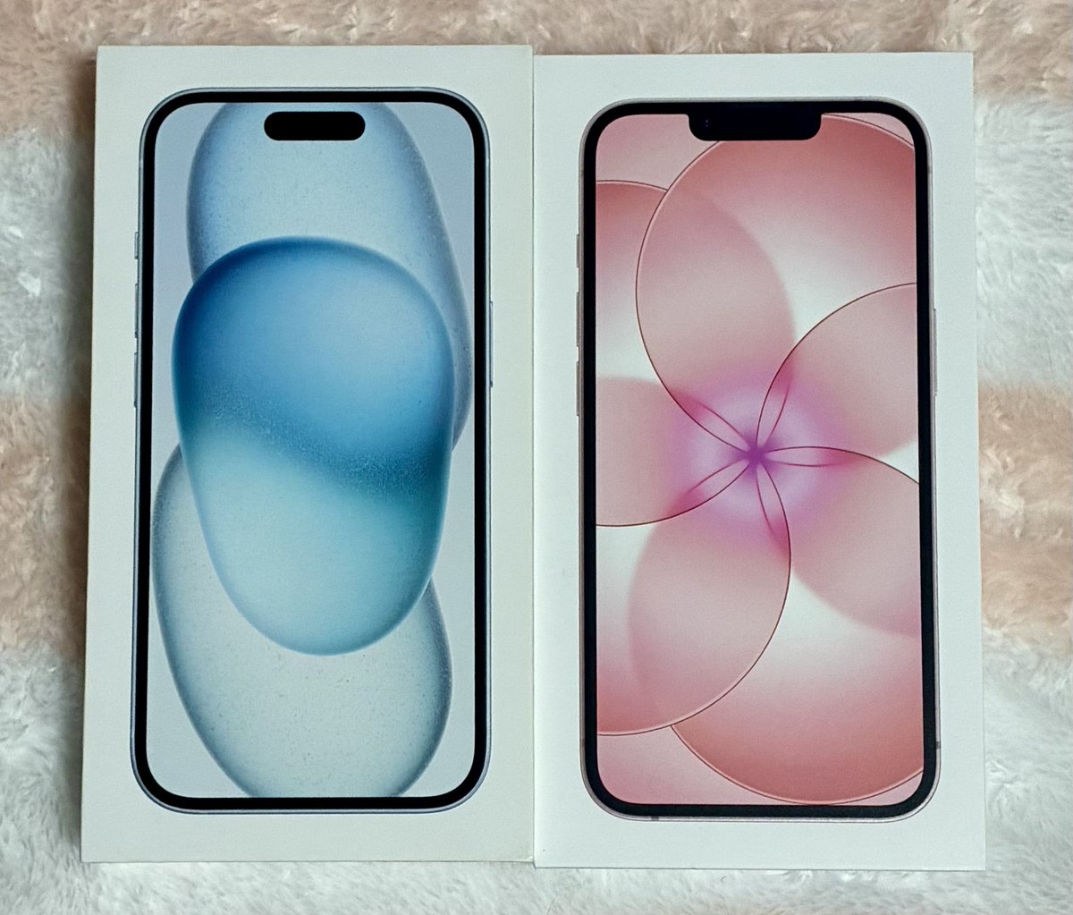 新しいiPhoneのカメラで初めての撮影📱