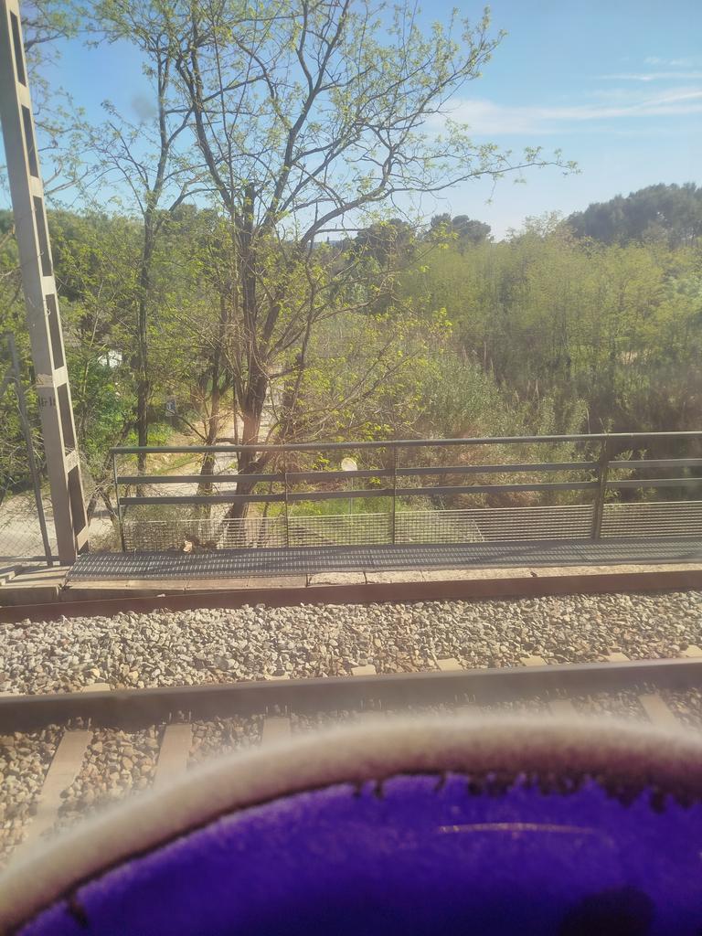 スペイン人 tweet media