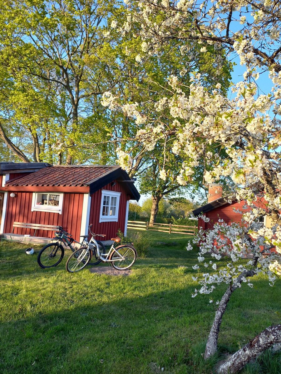 beautyexplorer0's tweet photo. Swedish countryside https://t.co/xjcY9Kuels