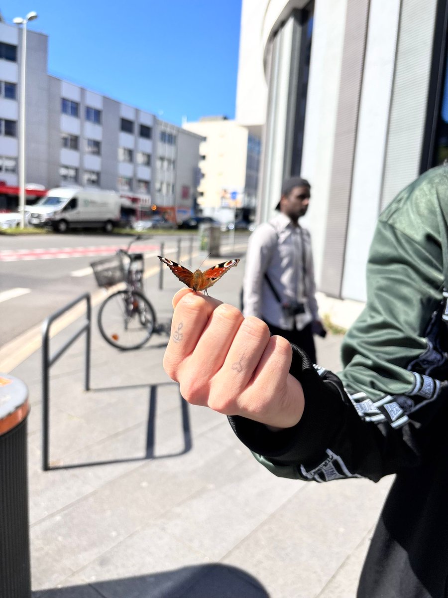 cel (hs)⁵⁹ tweet media