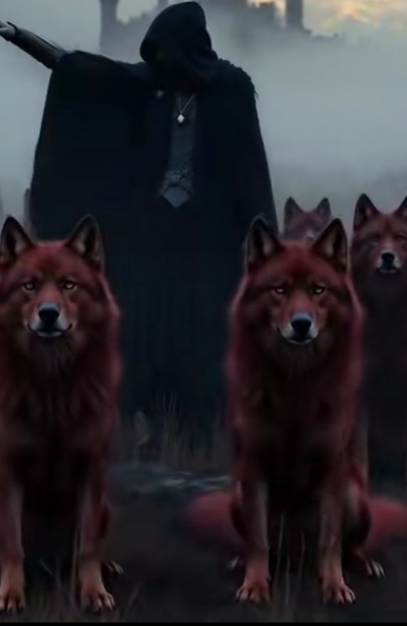 مـحمـودعبدآلظـآهہ‏‏ر ✨🦅✨ tweet media