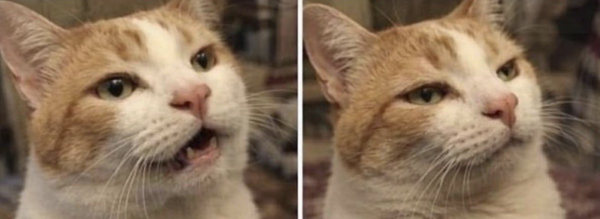 Soy la gemela buena tweet media