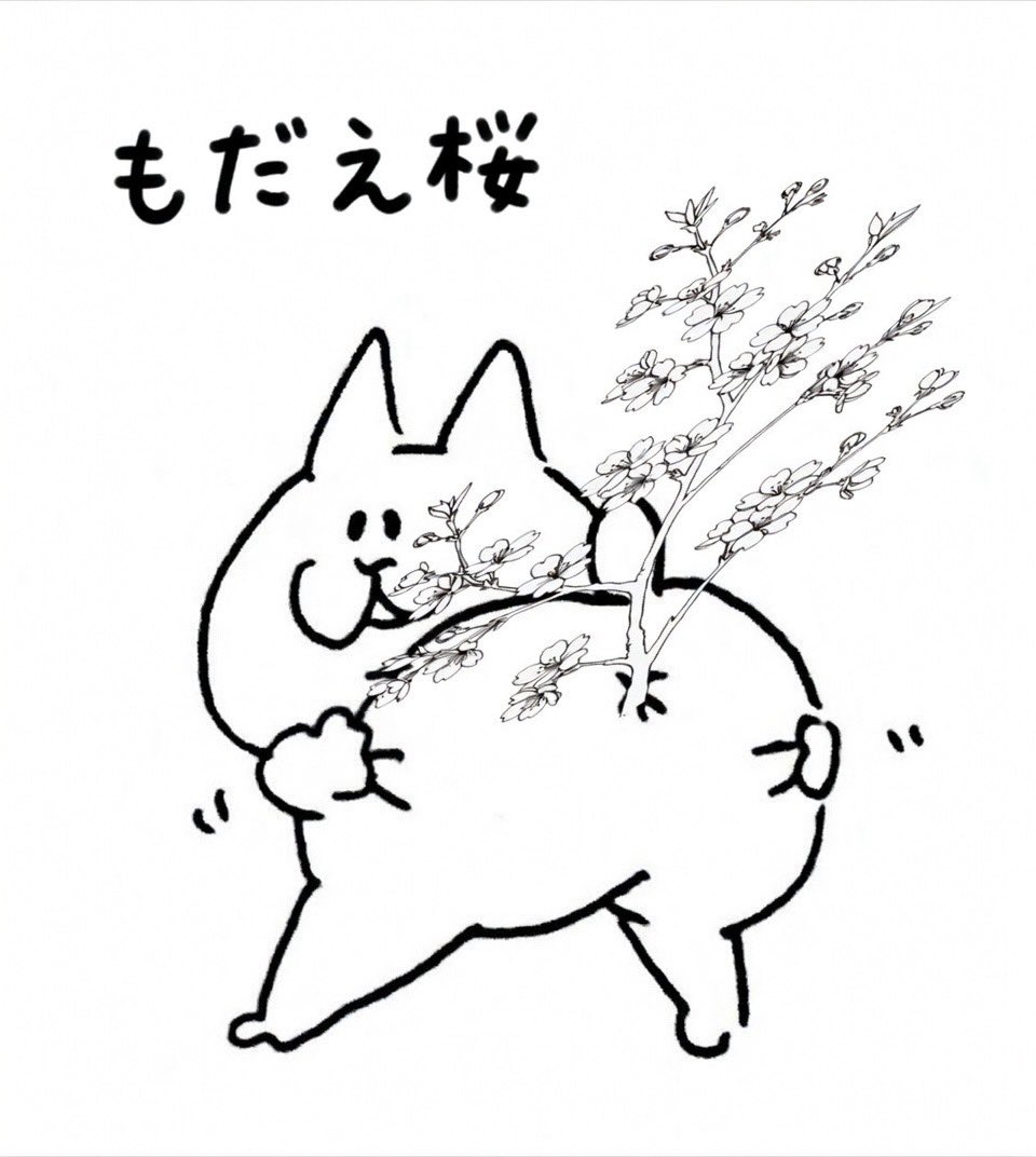 VT PROJECT with AA tweet media