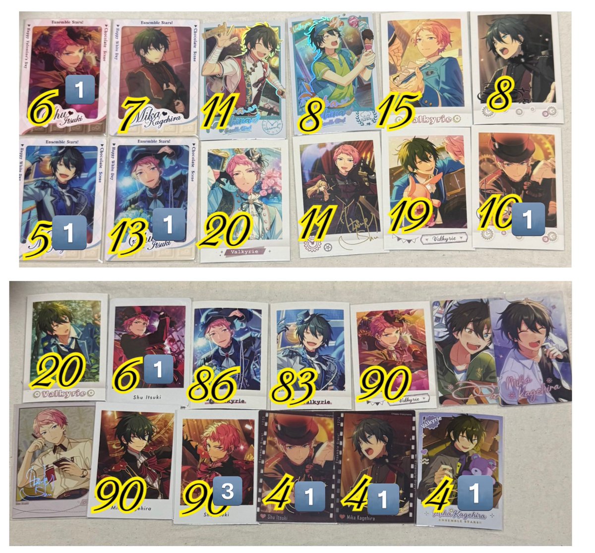 シダ tweet media