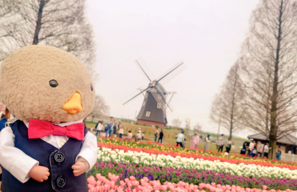 新橋 bar repli (バーレプリ) tweet media