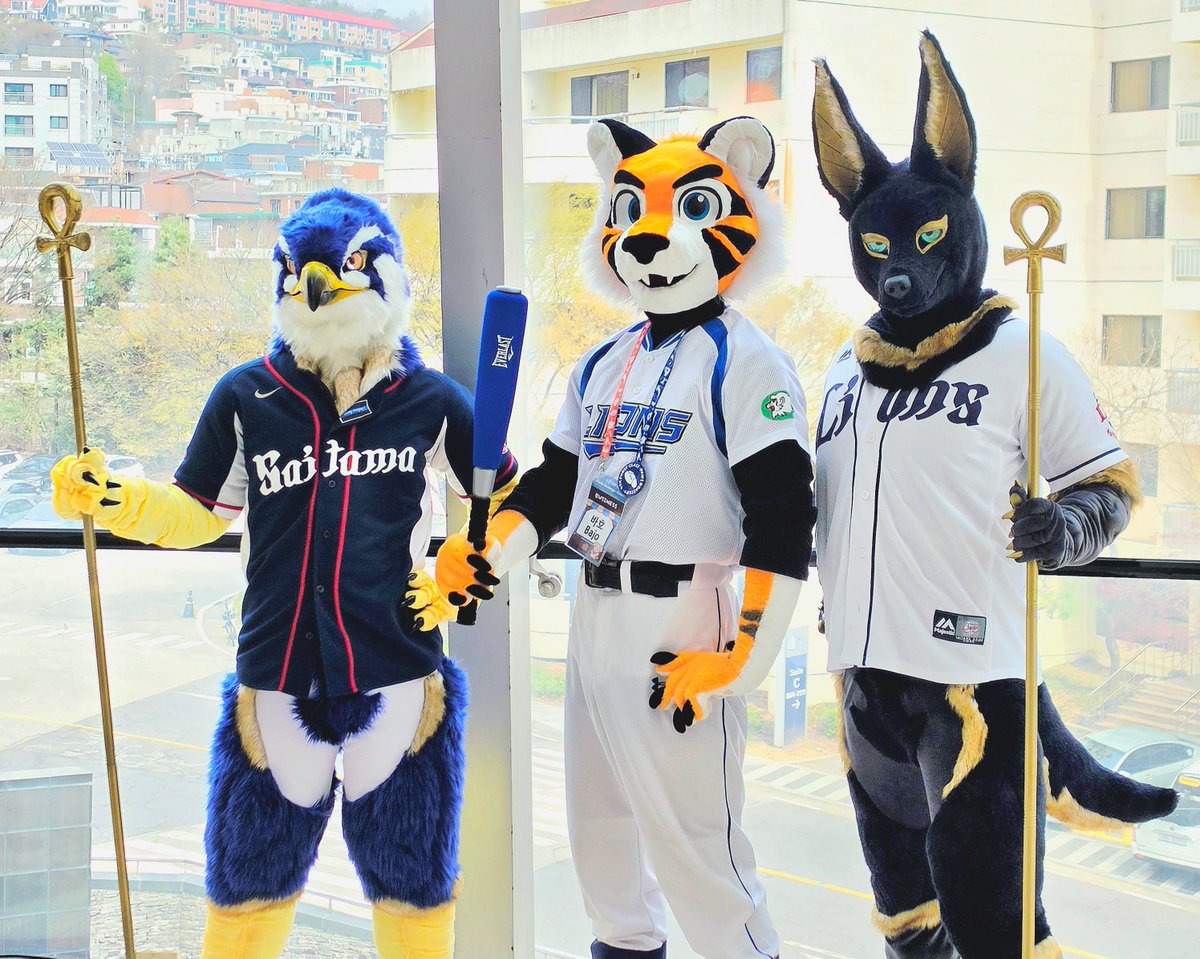 바호 & 슥이 | Bajo & Suki ➡️ Furst Class 11월 tweet media