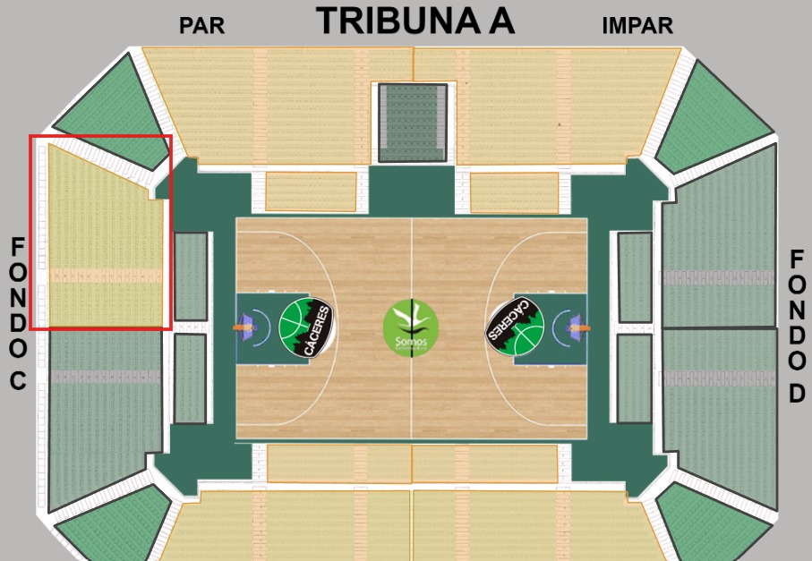 UEMC Baloncesto Valladolid tweet media