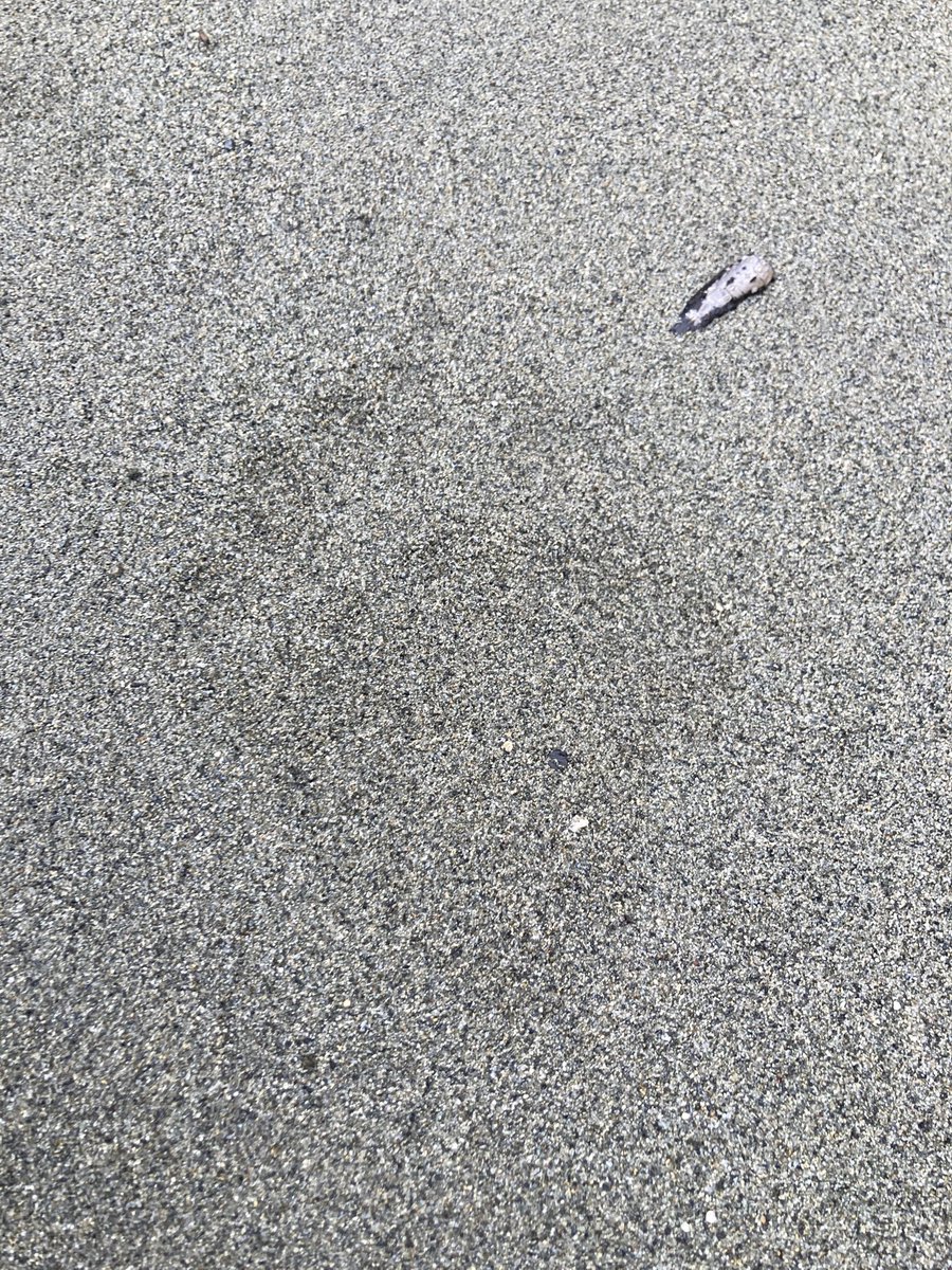 AP.muＲata tweet media