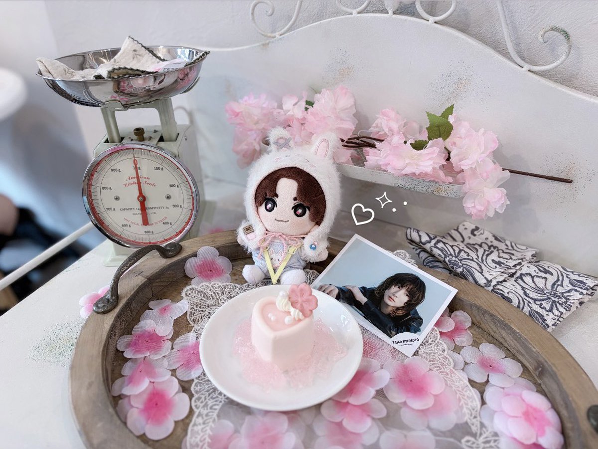 ➿⭐️ tweet media