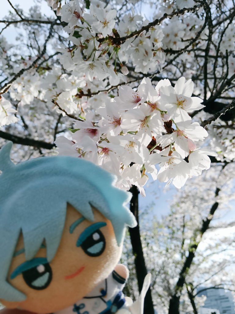 Justine 🌸 vgen open tweet media