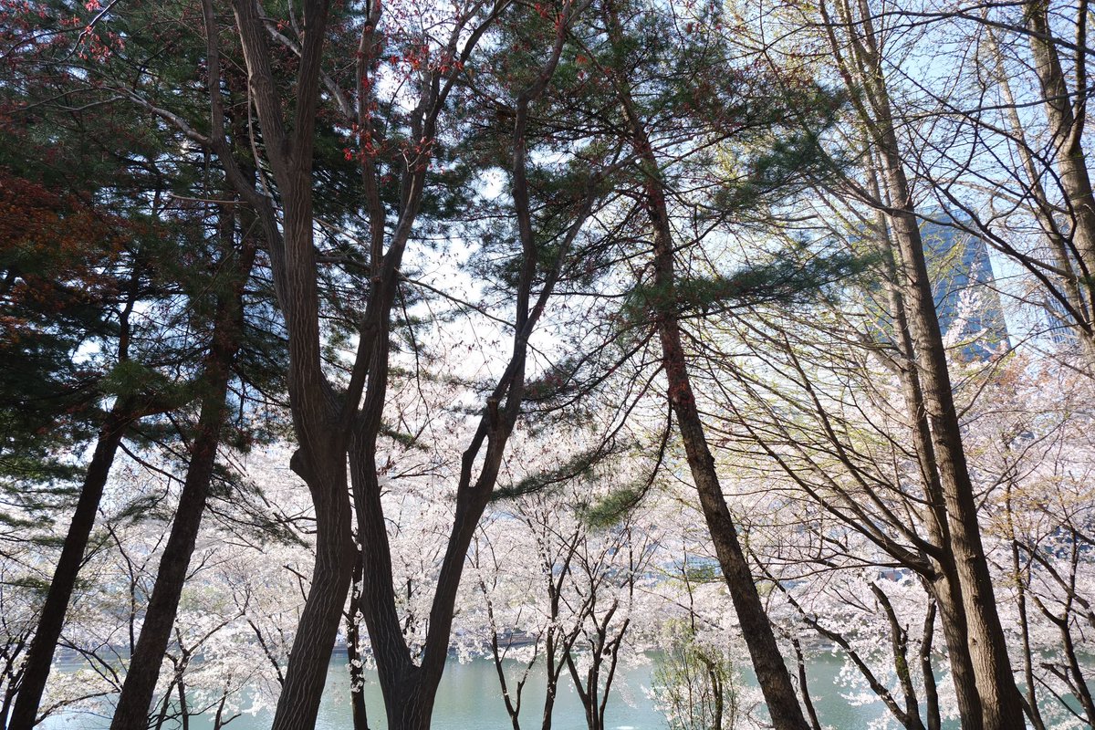 인설 tweet media