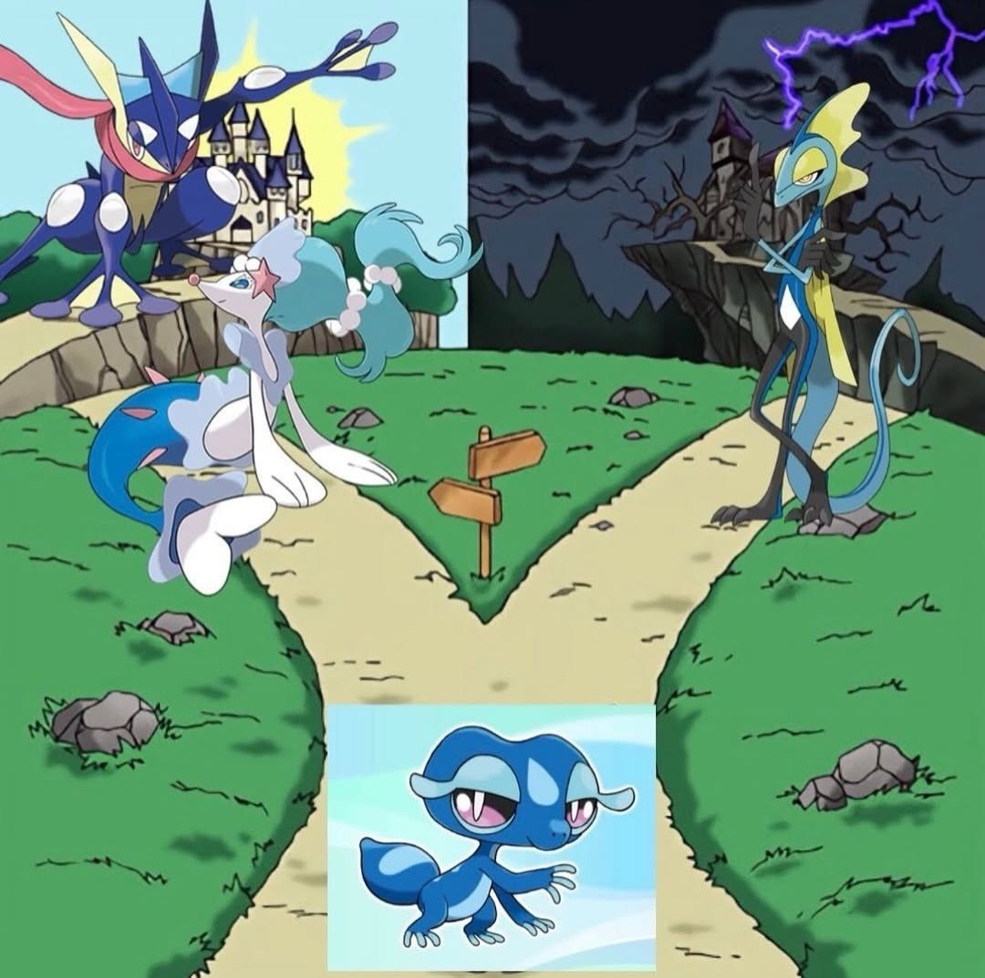 Pokémon Daily tweet media