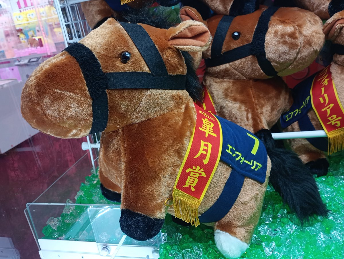 🏇━━━━━━━━━━━.𖥔 ݁ ˖ ⁺. #サラブレッドコレクション