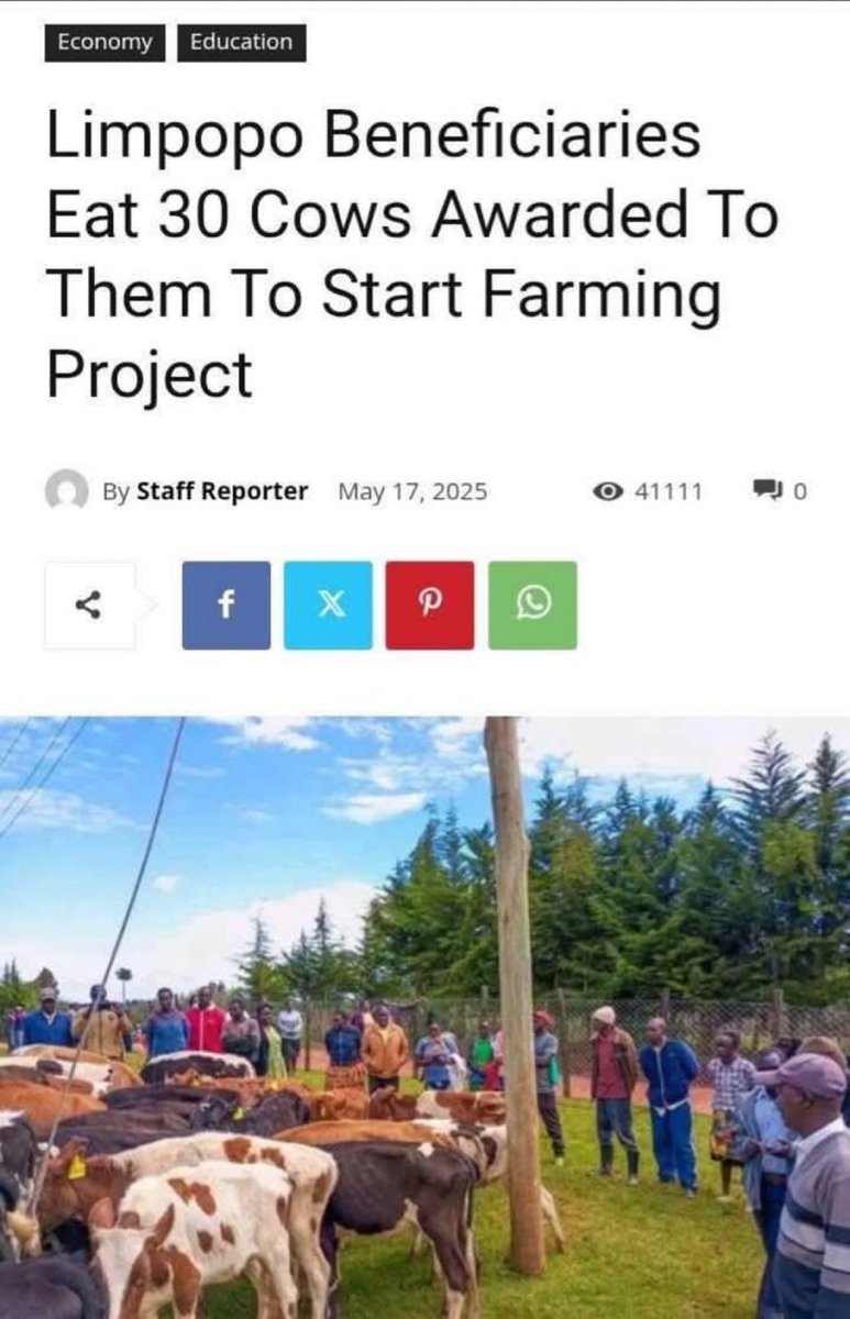 Phairy Megan tweet media