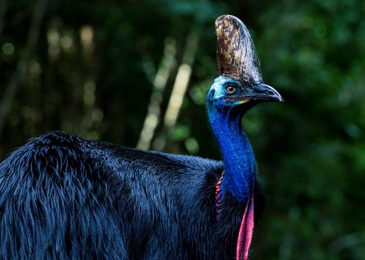 上田優紀 / 写真家 tweet media