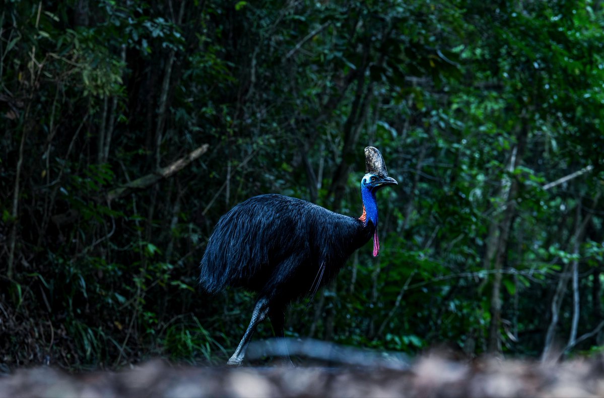 上田優紀 / 写真家 tweet media