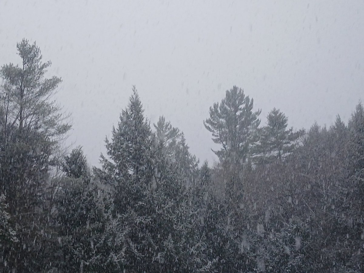 SageDariusTrav's tweet photo. If New Hampshire still hasn't gotten the message by now that it's Spring, then I think it's time for me to return to Florida!
Yes... it's a travel day... *if* the airport runways are still clear 🤞
#SullivanCountyNH #SpringInNewEngland? #TimeToGo #FloridaImOnMyWay! https://t.co/0DaARM8Wd5