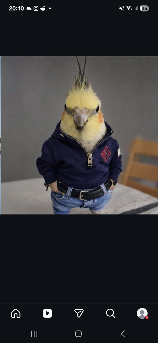 Diego SS tweet media