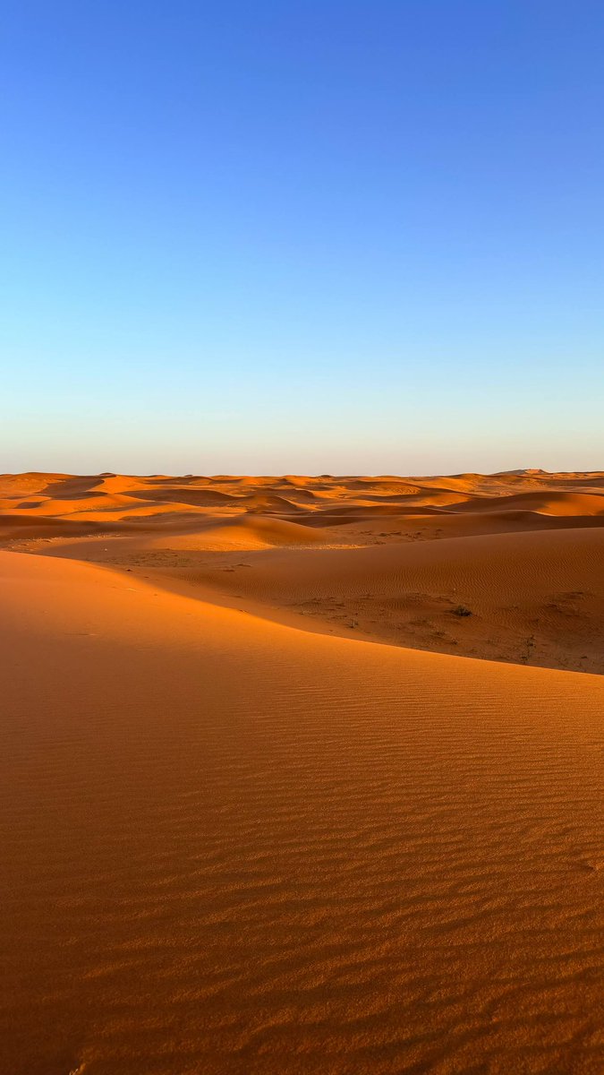 ABDULRAHMAN tweet media