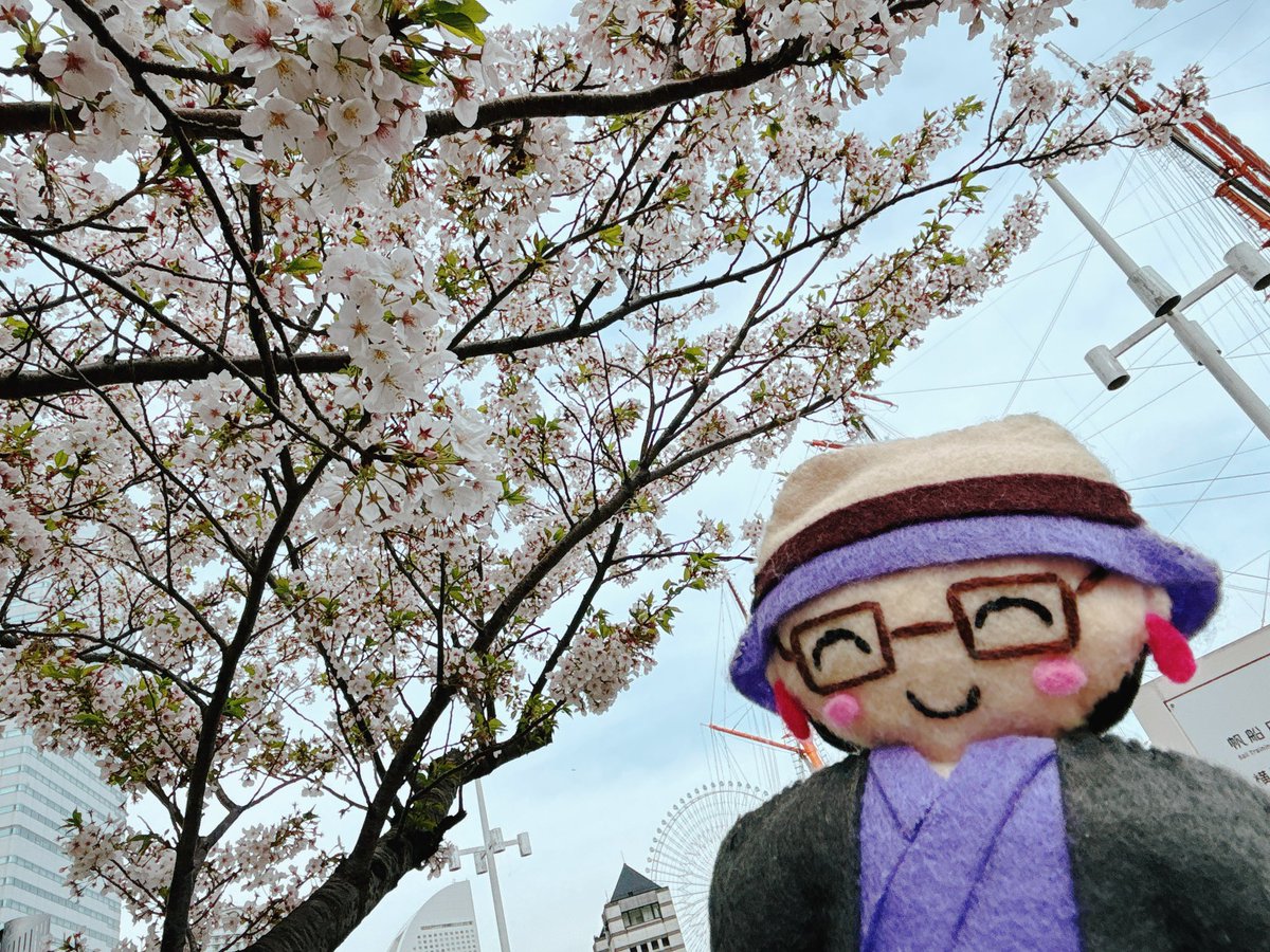 きたくきたくきたく！！！
無事にお家に着いて甘味処さんのニャンフェス23は終了しました！今回もたくさんのご縁や楽しいを有難うございました！

そしてすぐさま明日のあとモコの準備をします！地下歩行空間大通りビッセ横へー！

#ニャンフェス23 
#あとモコ