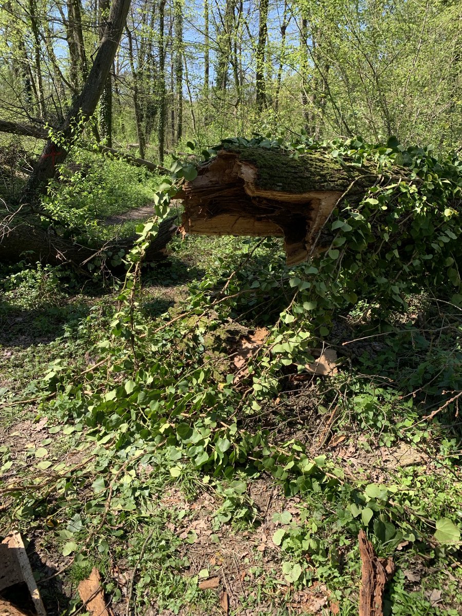 Jadranka Kosor tweet media