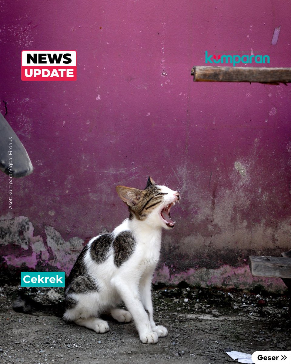 kumparan tweet media