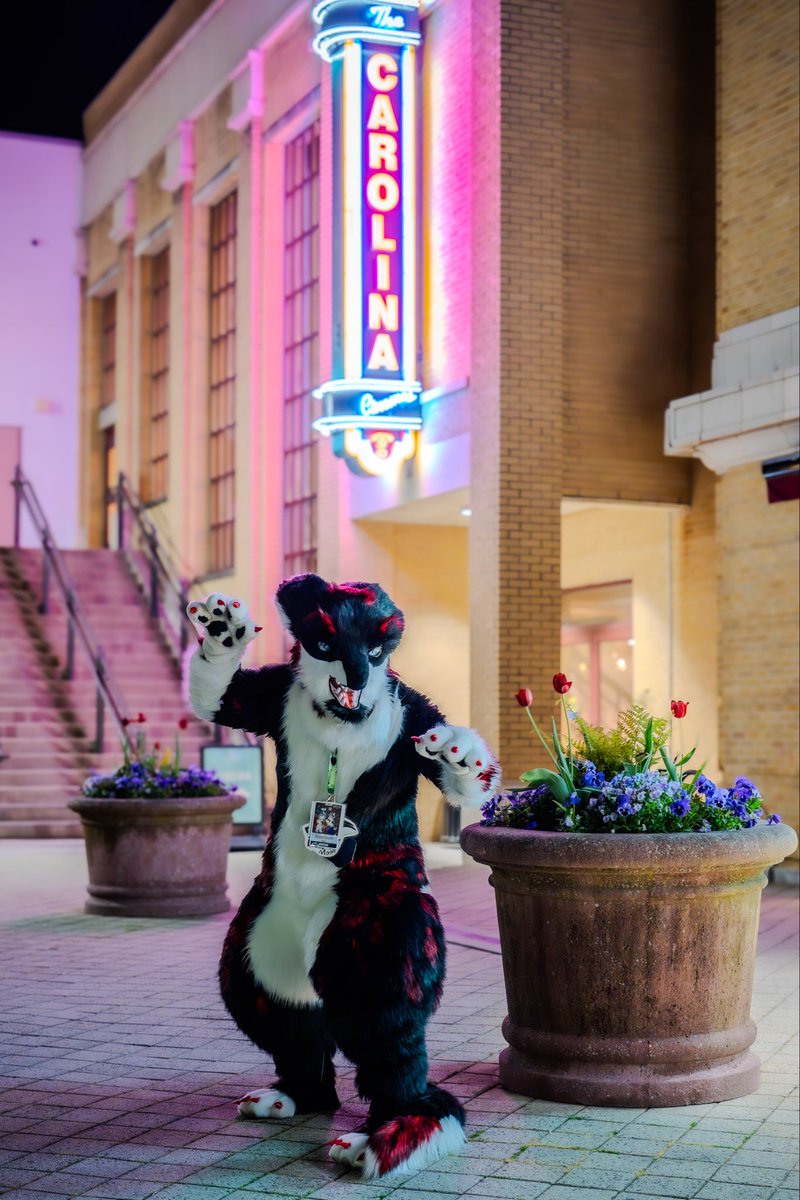 BloodMoonFurs's tweet photo. Had a great time at #bewhiskered with Jinx and Melania!  #bws2026 #bws #bewhiskered2026 https://t.co/L0FE80knf9