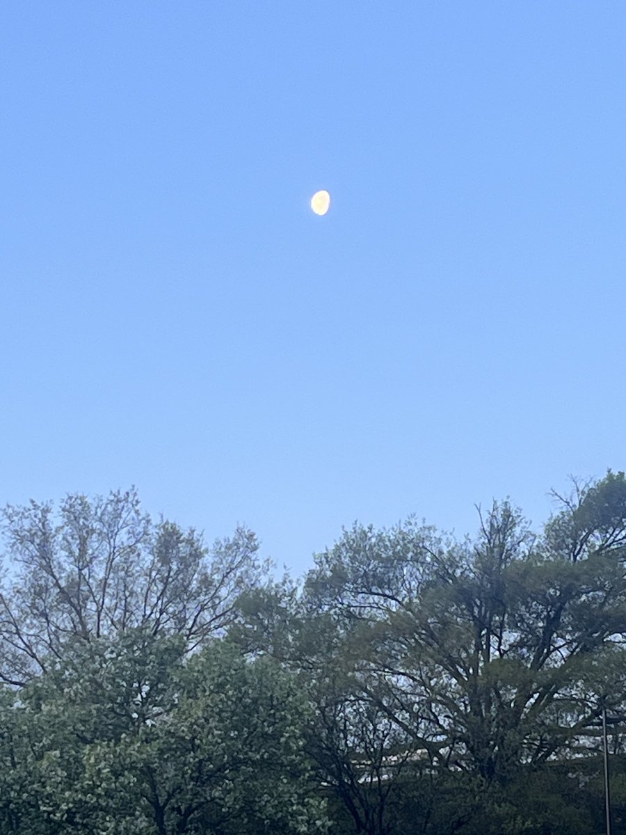 e_mckall's tweet photo. Looking up to the moon this morning on my way to work, one thought came to my mind, the Brave Astronauts  from ARTEMIS II are up there circling the moon. 🇺🇸🇺🇸🇺🇸 https://t.co/2fnF1fKVu8