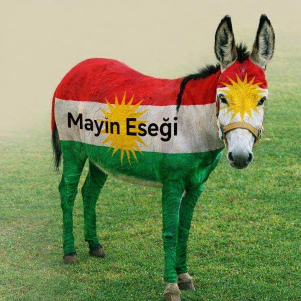 TÜRK 62 🇹🇷🇦🇿🇵🇼🇹🇲🇺🇿🇰🇬🇭🇺 tweet media