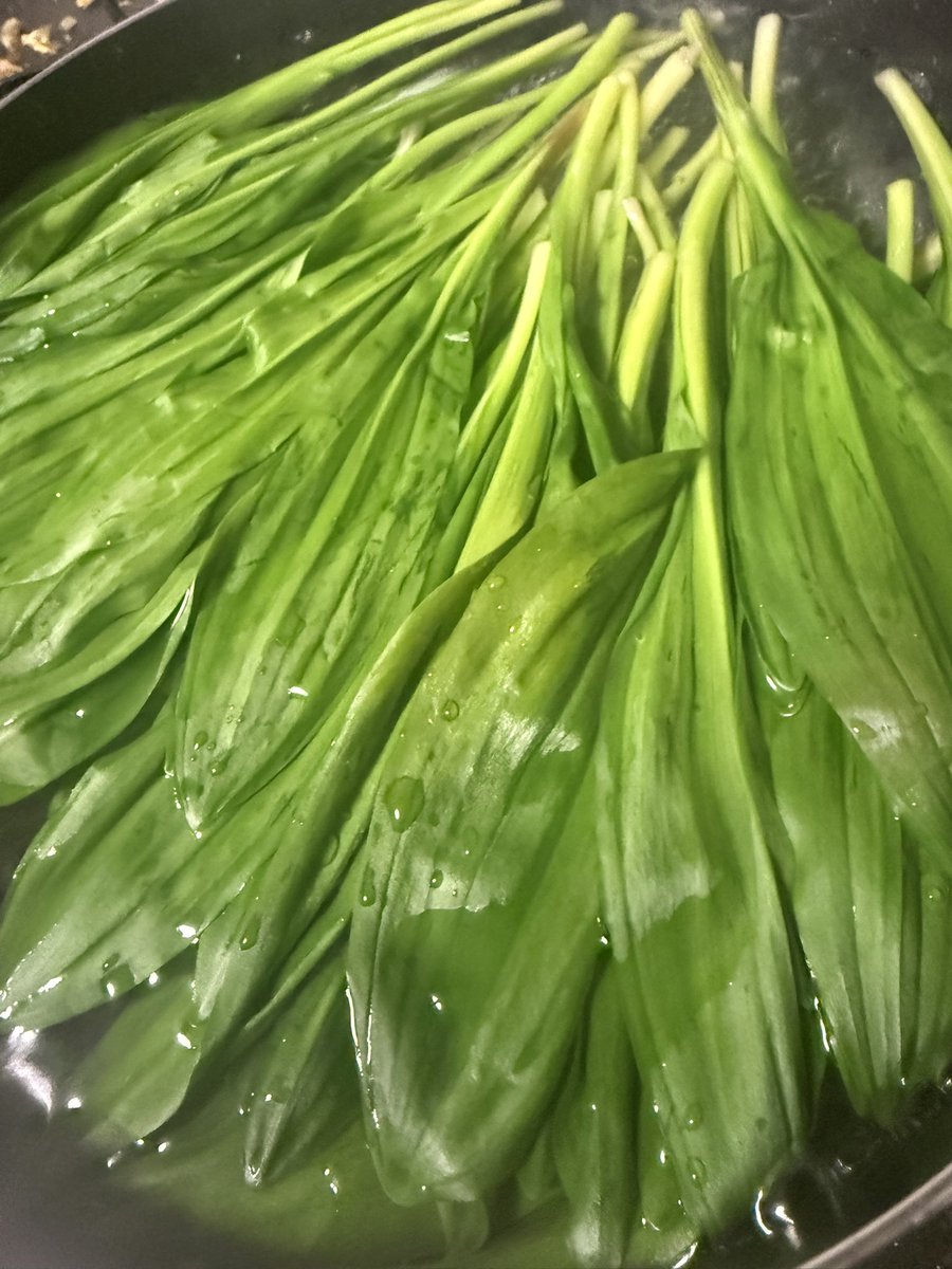 鳳 鴻騎 tweet media