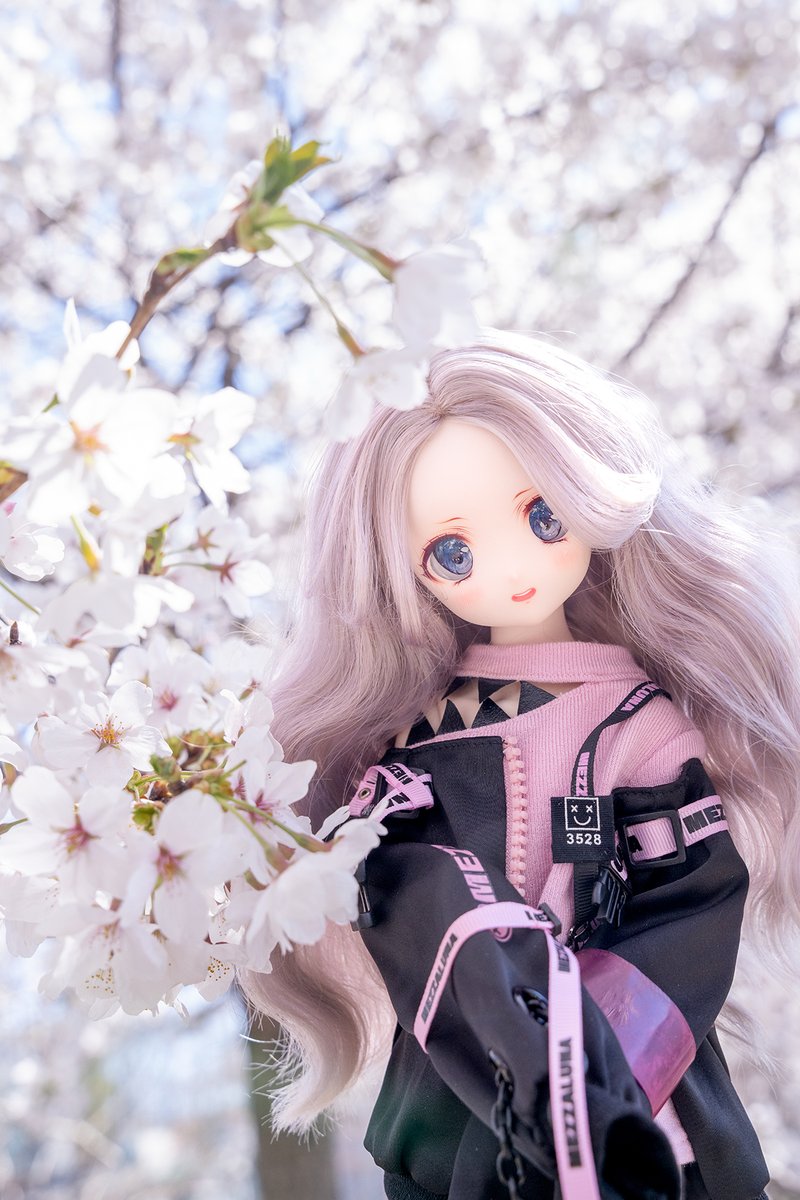 leavantain tweet media