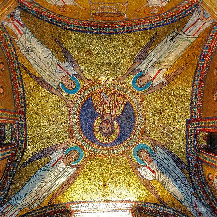 @salviamoroma tweet media