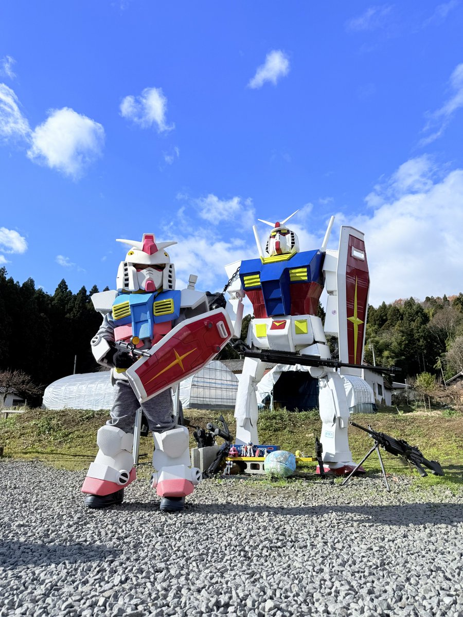 白飯生活🍚 tweet media