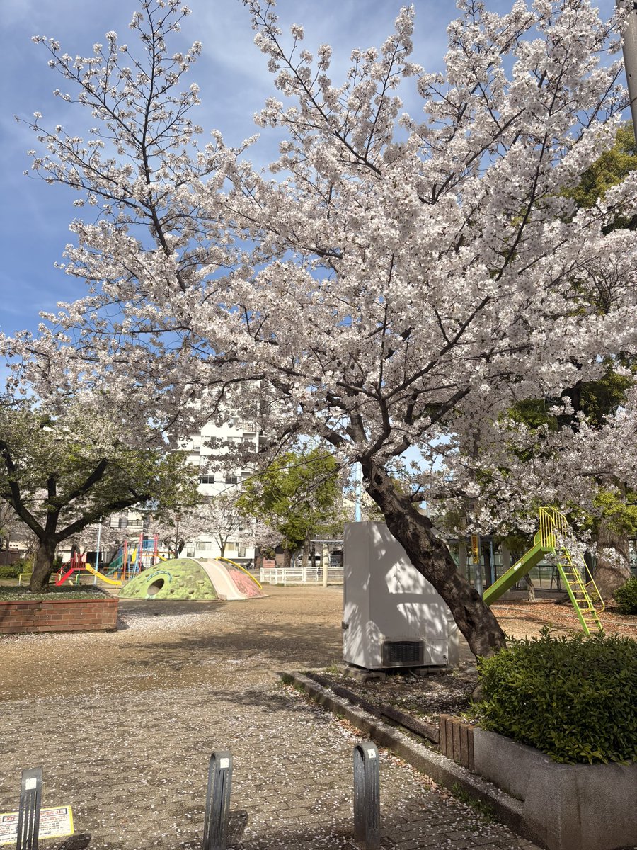 大阪麦哥 tweet media