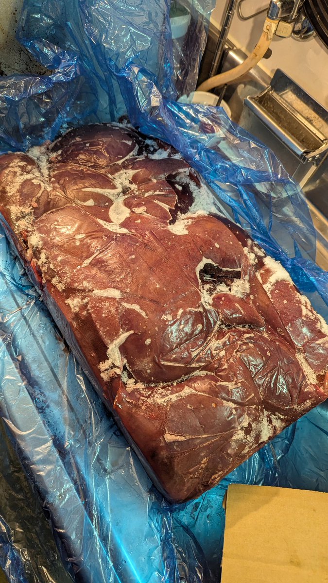 はすたま🍊 tweet media