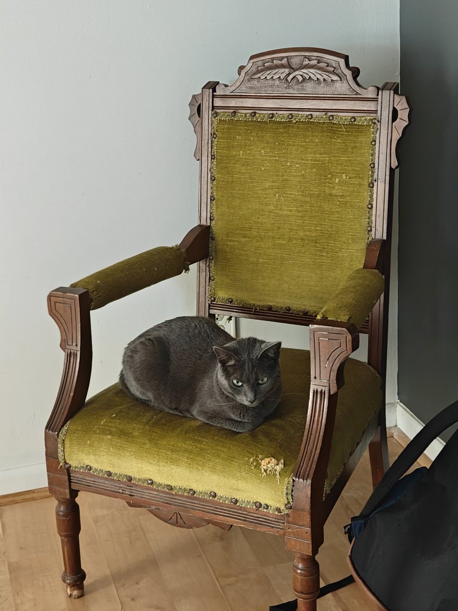 Brighton Wheel tweet media